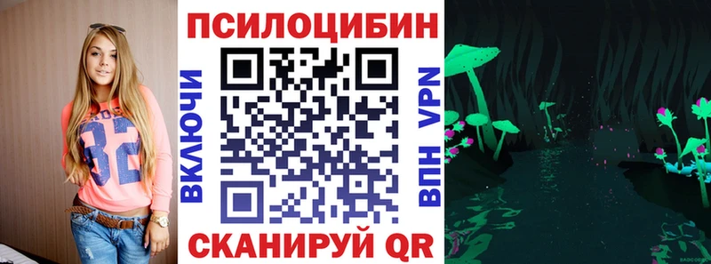 Псилоцибиновые грибы Cubensis  Чаплыгин 